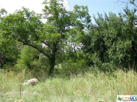 369 Private Road 305 Lane, Gatesville, TX 76528