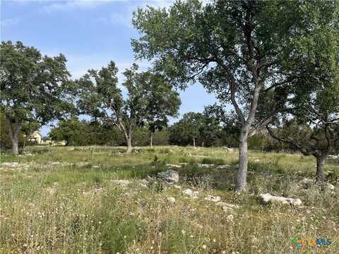 133 Macaw Lane, Spring Branch, TX 78070