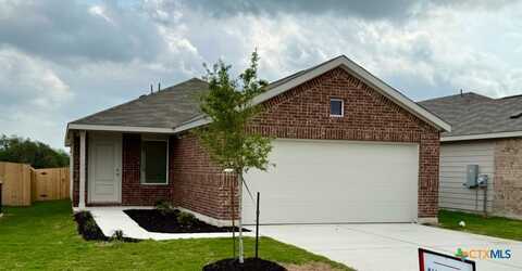 221 Brannigan Drive, Jarrell, TX 76537