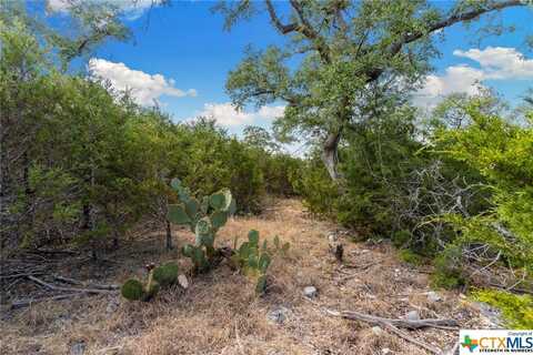1472 Stahlman Way, New Braunfels, TX 78132