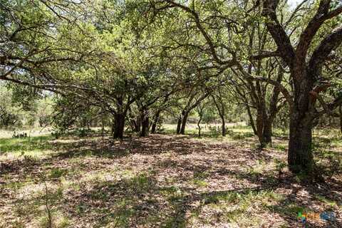Tbd Shin Oaks Drive, Lampasas, TX 76550