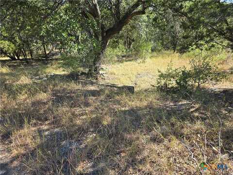 808 Pinkerton Loop, Horseshoe Bay, TX 78657