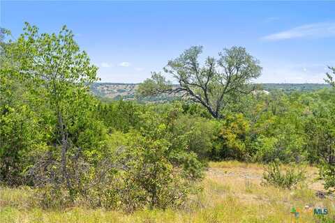 Tract 1 Skyline Drive, Blanco, TX 78606