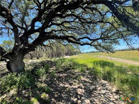 Lot 65 Estate View Circle, Lampasas, TX 76550
