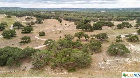 Lot 181 Blackbuck Ridge Drive, Lampasas, TX 76550