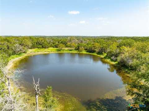 Tbd PR 1002, Purmela, TX 76566