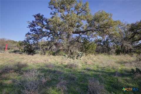132 Maple Terrace, New Braunfels, TX 78132