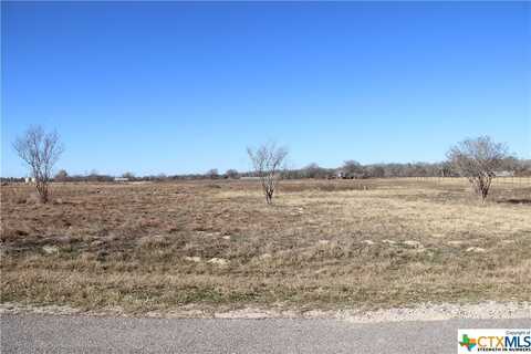 3 Kothmann Road, La Vernia, TX 78121
