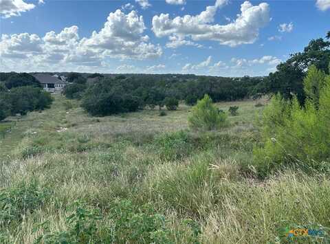 1728 Chardonnay, New Braunfels, TX 78132