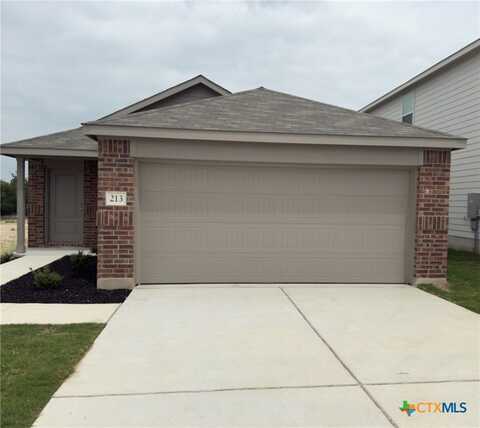 213 Brannigan Drive, Jarrell, TX 76537