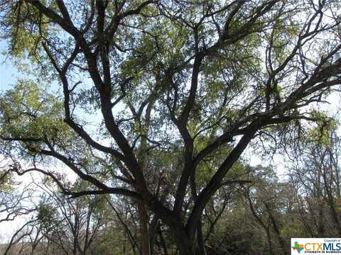 Lot 42 Ph 4 PR 42129, Evant, TX 76525
