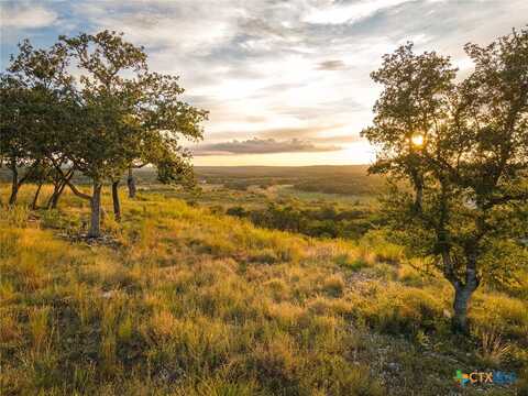 1853 Paradise Parkway, Canyon Lake, TX 78133