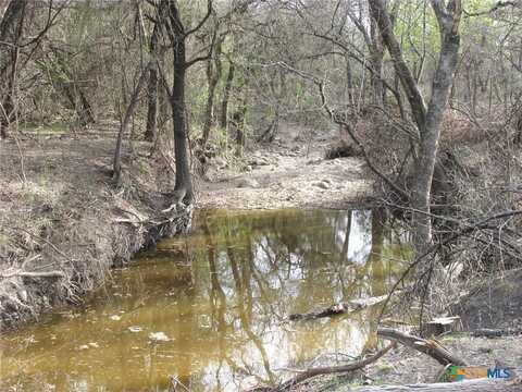 41.67 Acres Tbd Old Georgetown Road, Gatesville, TX 76528