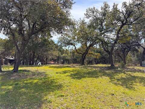 2184 Grandview Forest, Canyon Lake, TX 78133