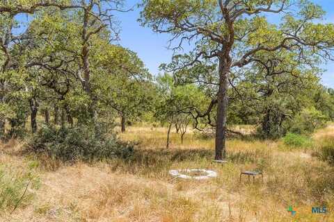 18.145 Acres Herber-Schaefer Road, Fredericksburg, TX 78624