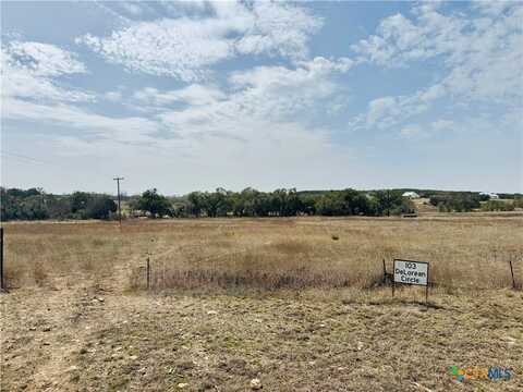 103 Delorean Circle, Burnet, TX 78611
