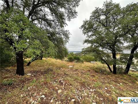 816 Mountain Dew, Horseshoe Bay, TX 78657