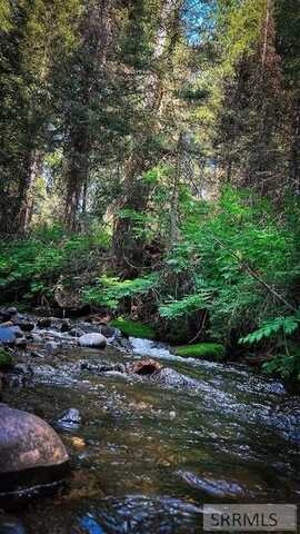 4142 Yale Creek Road, Island Park, ID 83429