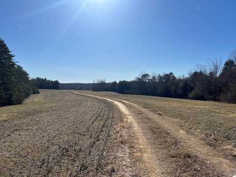 202 Ac. Chestnut Road, Nathalie, VA 24577