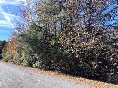 00 Williams Trail, Halifax, VA 24558