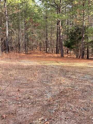 130 Eagle's Rest Drive, Clarksville, VA 23927