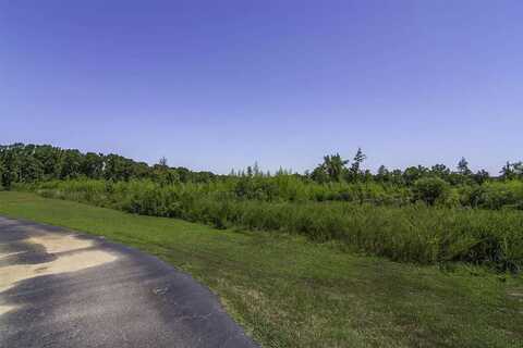 0 Roddy Road, Woodruff, SC 29388