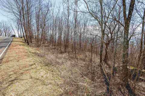 116 May Apple Way, Landrum, SC 29356