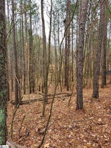 461 Cowford Bridge Road, Spartanburg, SC 29302