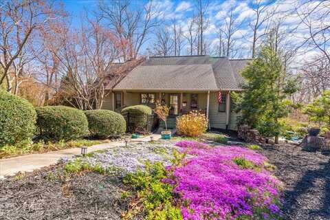 3 Rocky Gap Court, Landrum, SC 29356
