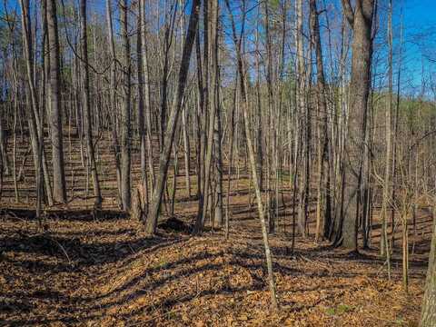 Tbd Chestnut Falls Lane, Galax, VA 24333