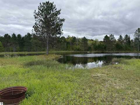 10420 E Newman Road, Merritt, MI 49667
