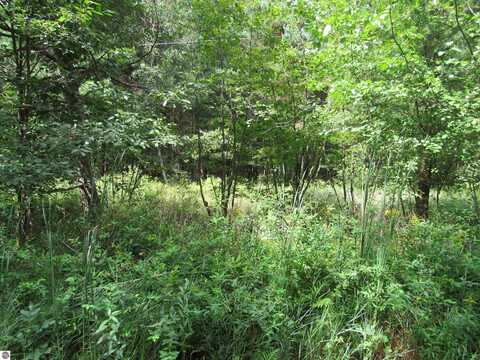 00 Duby Road, Tawas City, MI 48763