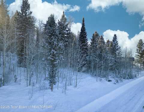 42 BLACKFOOT Trail, Victor, ID 83455