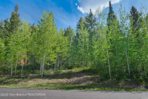 42 BLACKFOOT Trail, Victor, ID 83455