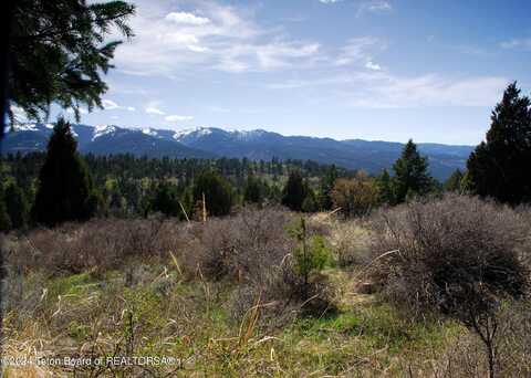 L54b4 CUTTHROAT RUN, Irwin, ID 83428