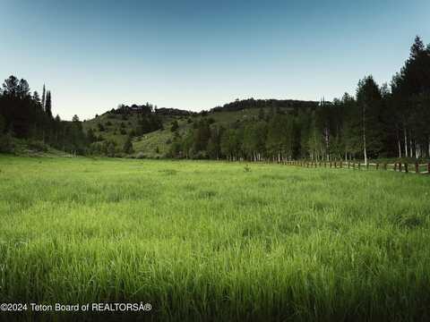 5450 DRY HENDERSON Road, Victor, ID 83455