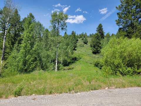 L58 B4 CUTTHROAT RUN, Irwin, ID 83428