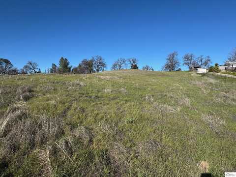 17220 Hillcrest Road, Corning, CA 96021