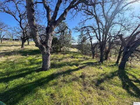16495 Hillcrest Road, Corning, CA 96021