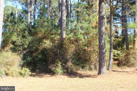 1140 SCIMITAR WAY, GREENBACKVILLE, VA 23356