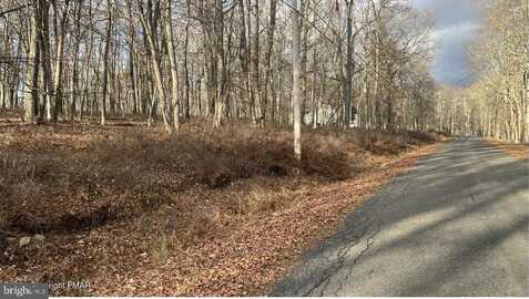 Lot 288 DOE LOOP, BUSHKILL, PA 18324