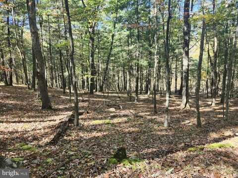 MILL MOUNTAIN ROAD, ROMNEY, WV 26757