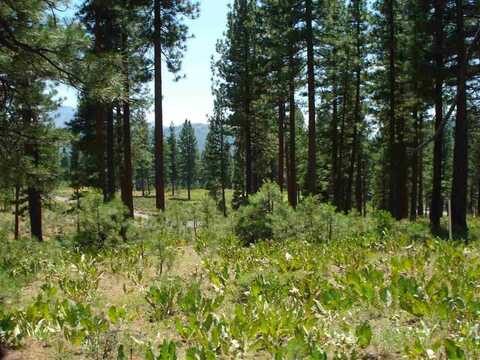 69 Blacktail Ridge, Portola, CA 96122