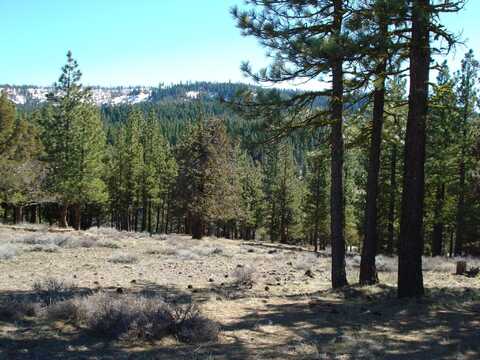 463 Quail Run, Portola, CA 96122