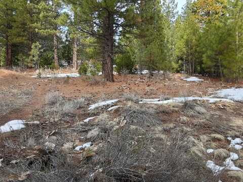 43 Snowbush Way, Portola, CA 96122