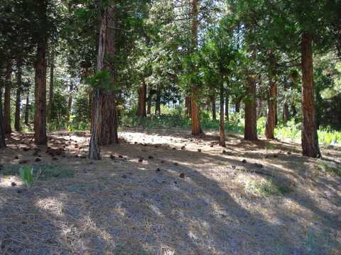 43 Snowbush Way, Portola, CA 96122