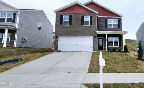 1607 Fox Meadows Circle, Bluff City, TN 37618