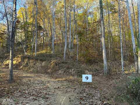 Tract 9 Topaz Way, Parrottsville, TN 37843
