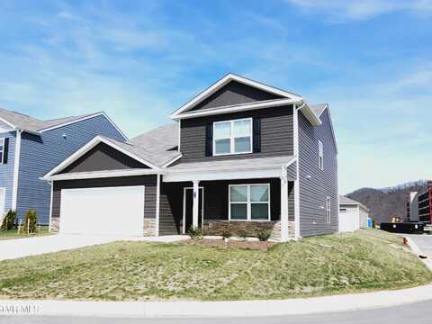 172 Crawford Circle, Bristol, TN 37620