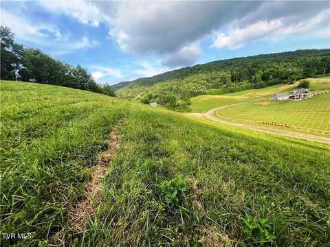 Lot 79 Silver Oak Trail, Butler, TN 37640
